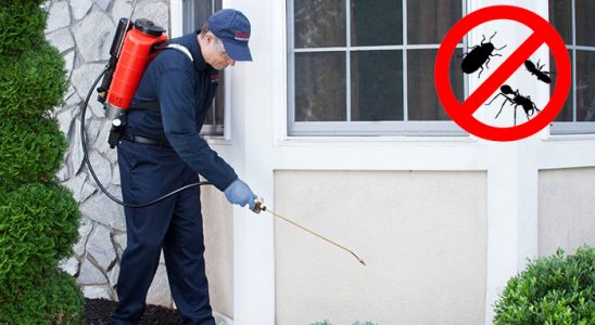 Gürün Bit İlaçlama böcek ilaçlama ve haşere kontrolü — ilaclama-tr.com